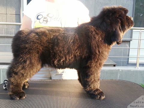 Фотография № 190524