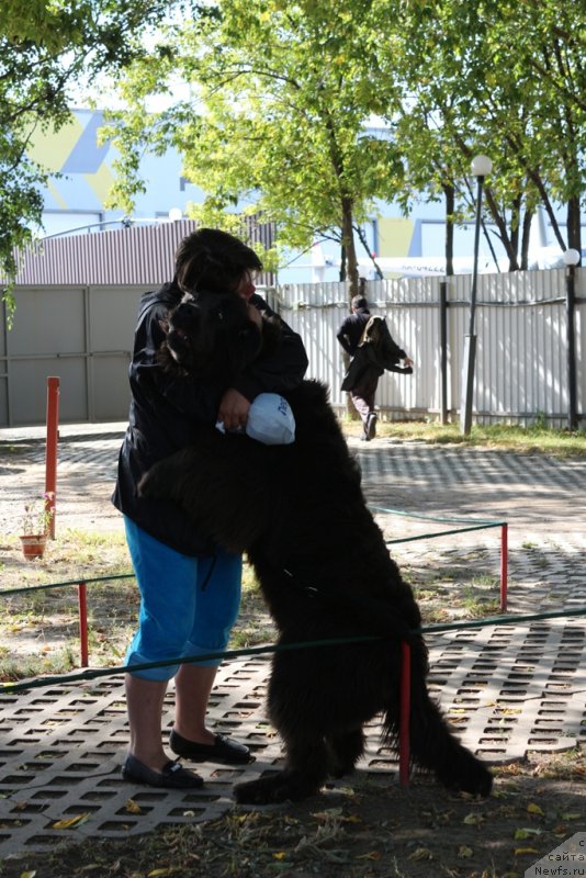 Фотография № 190551