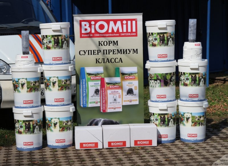 Фотография № 190552