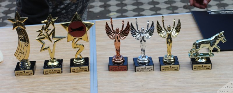 Фотография № 190553