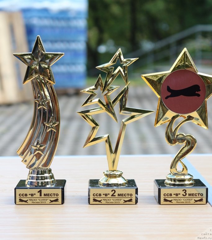 Фотография № 190554