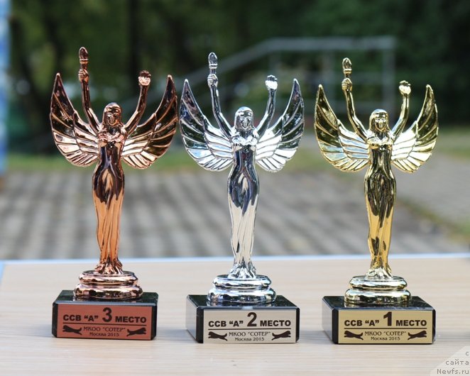 Фотография № 190555