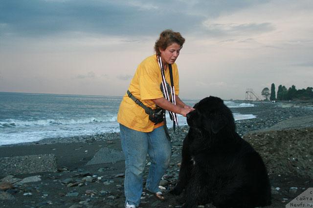 Фото: ньюфаундленд Talula Bell (Талула Белл), ньюфаундленд Potap Fidel' (Потап Фидель), Anna Kovalyova (Анна Ковалёва)