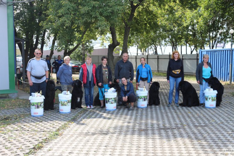 Фотография № 190560