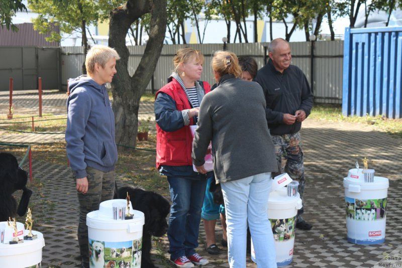 Фотография № 190561