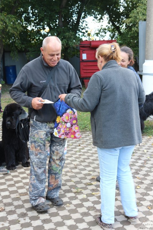 Фотография № 190563