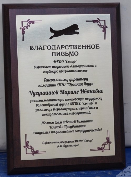 Фотография № 190570