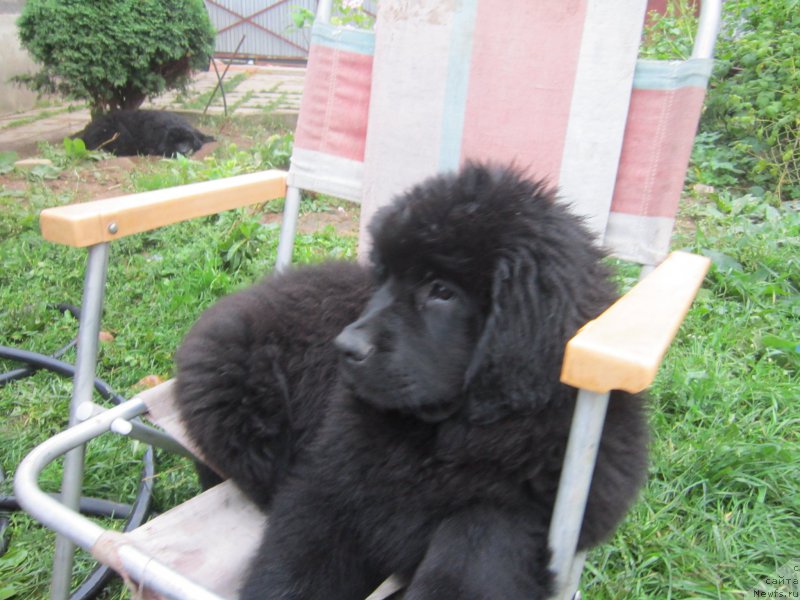 Фото: Natal'ya Smazchikova (Наталья Смазчикова)