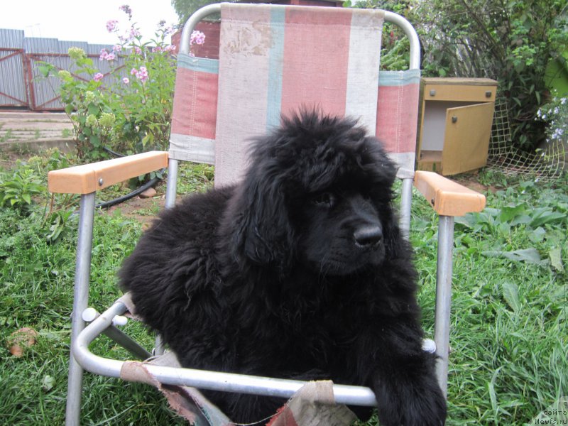 Фото: Natal'ya Smazchikova (Наталья Смазчикова)