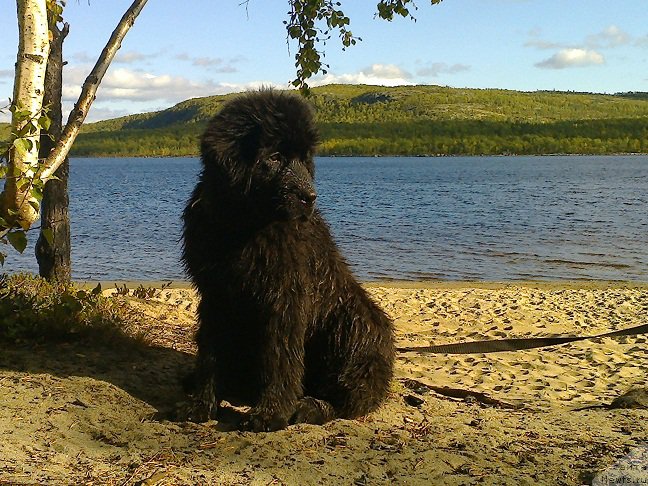 Фотография № 190593