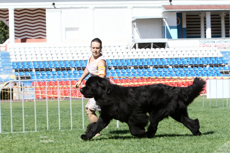 Фотография № 190623