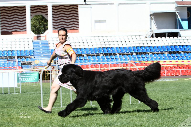 Фотография № 190624