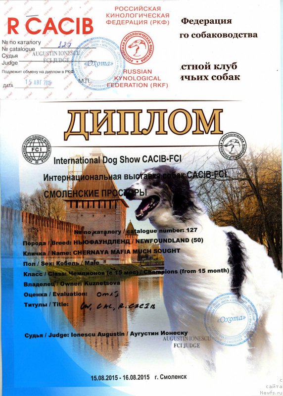 Фотография № 190625