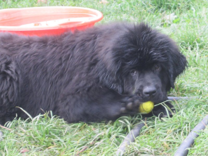 Фото: Natal'ya Smazchikova (Наталья Смазчикова)