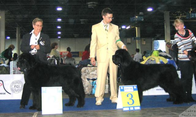 Фотография № 19067