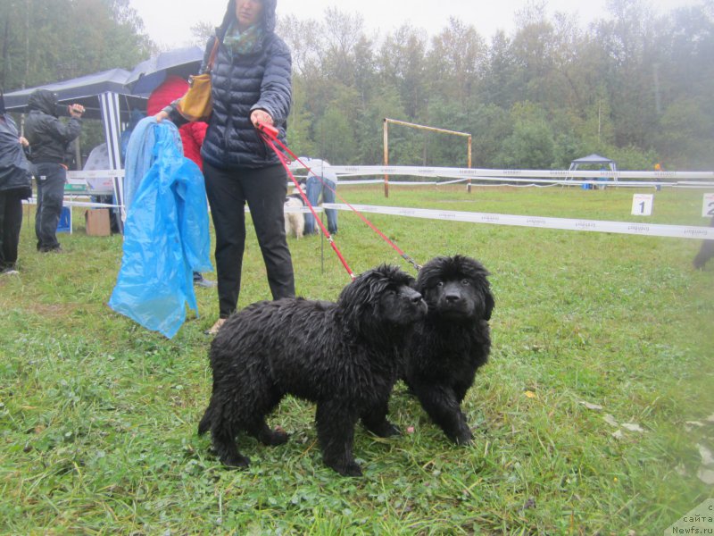 Фотография № 190670