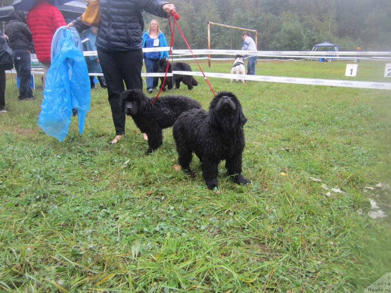 Фотография № 190671