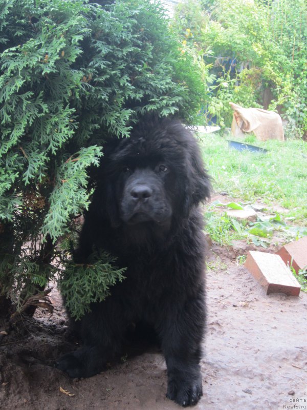 Фото: Natal'ya Smazchikova (Наталья Смазчикова)