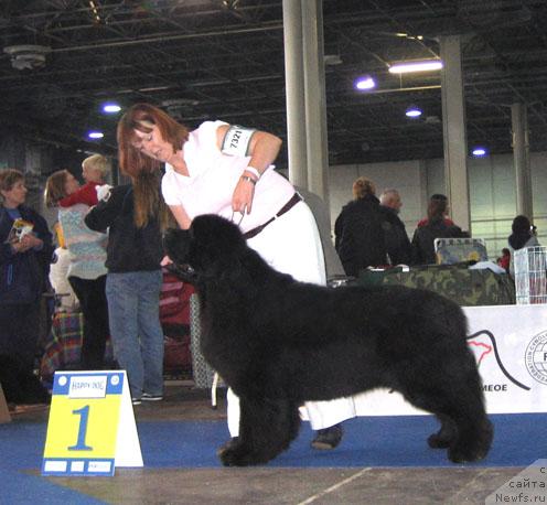 Фотография № 19069