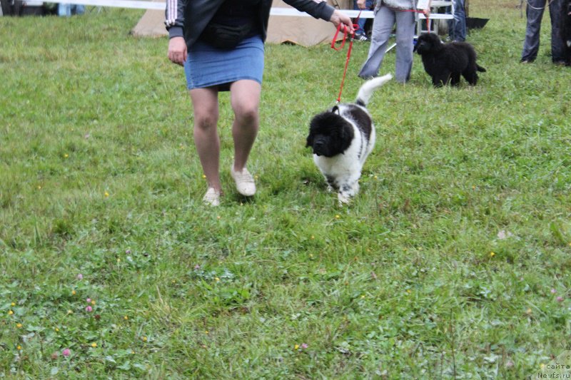 Фото: Энджелс Кипер Натали