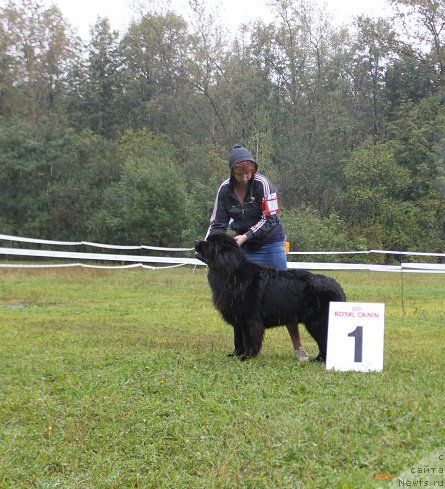 Фотография № 190700