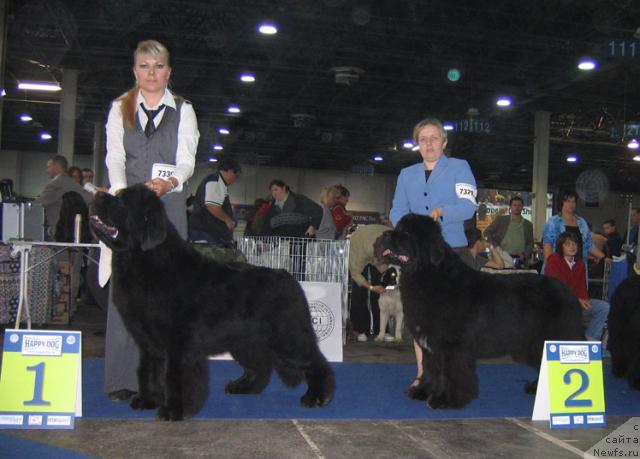 Фотография № 19074