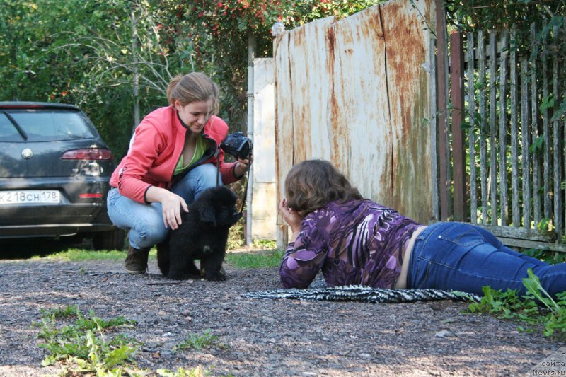 Фотография № 190743