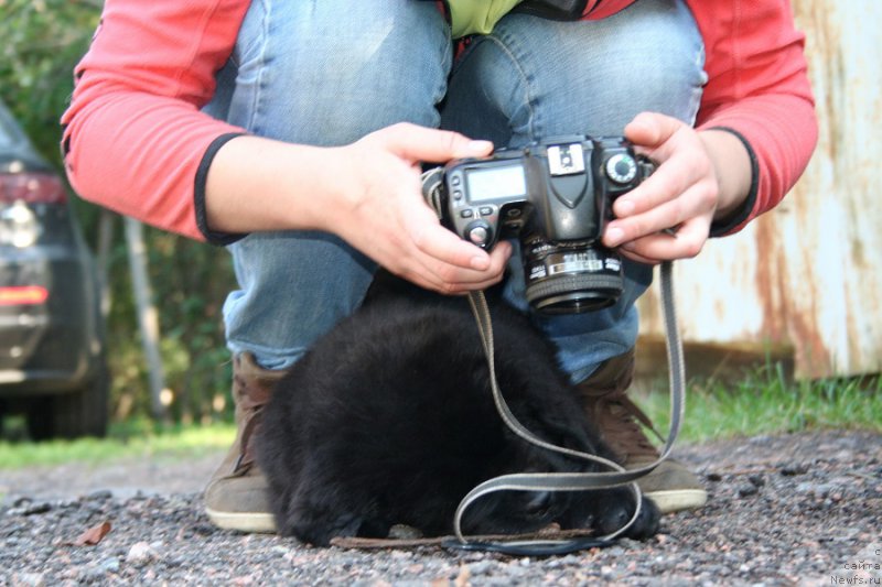 Фотография № 190744