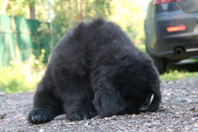 Фотография № 190745