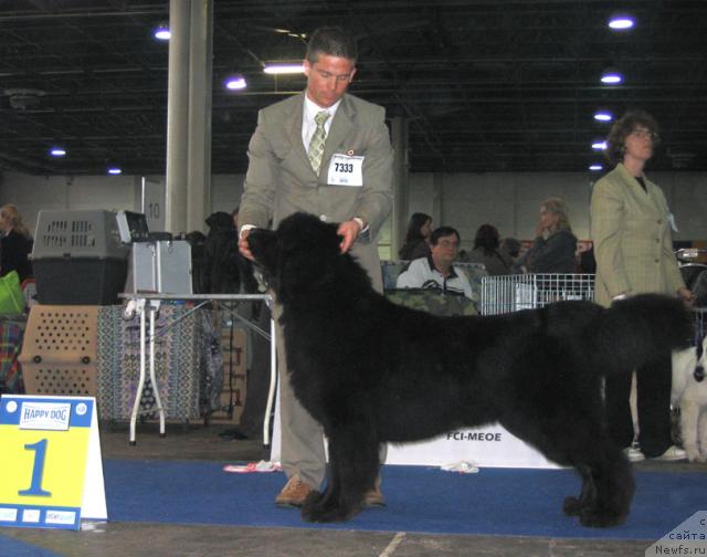 Фотография № 19075