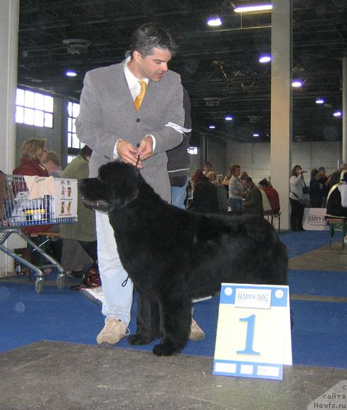 Фотография № 19078