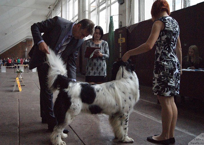 Фотография № 190783