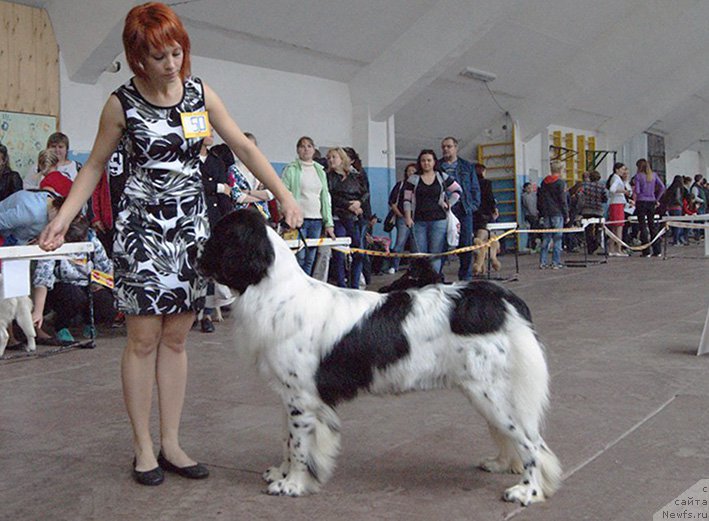 Фотография № 190784