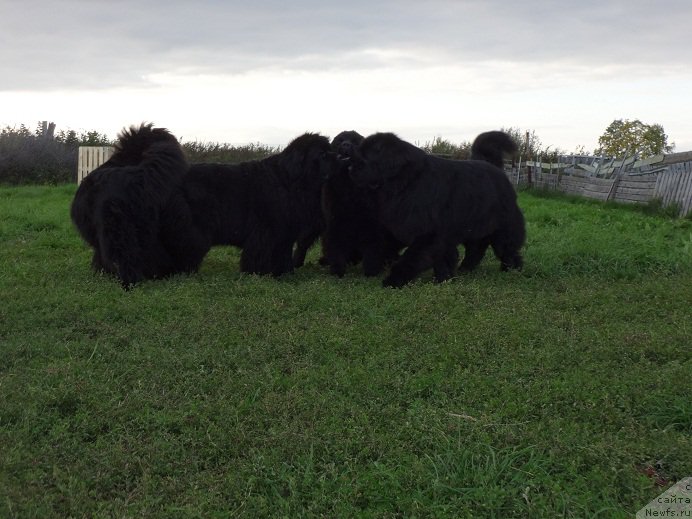 Фото: Irina Panyushkina (Ирина Панюшкина)