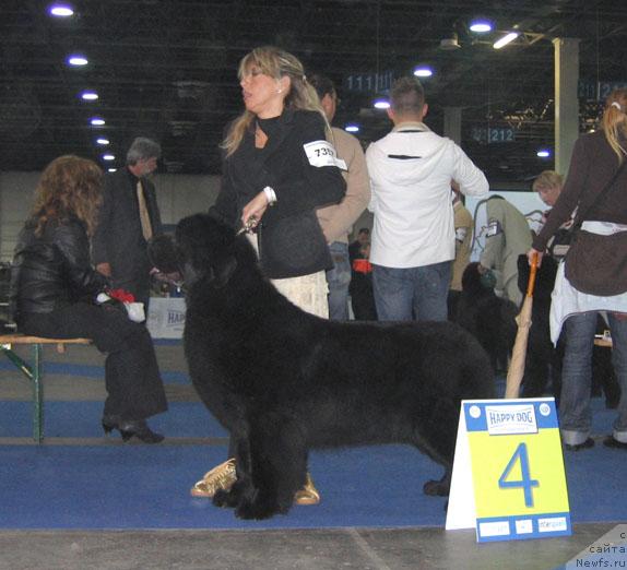 Фотография № 19079