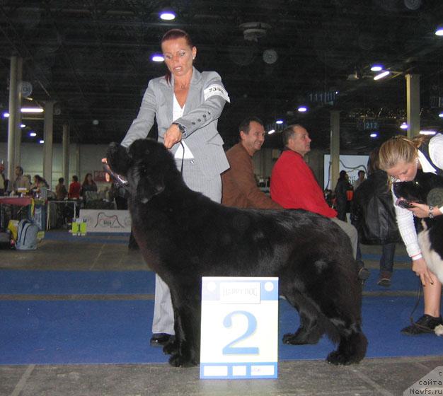 Фотография № 19080