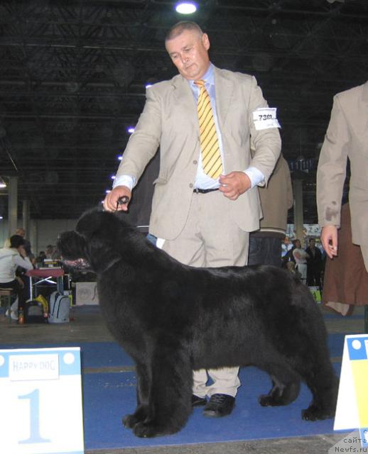 Фотография № 19081