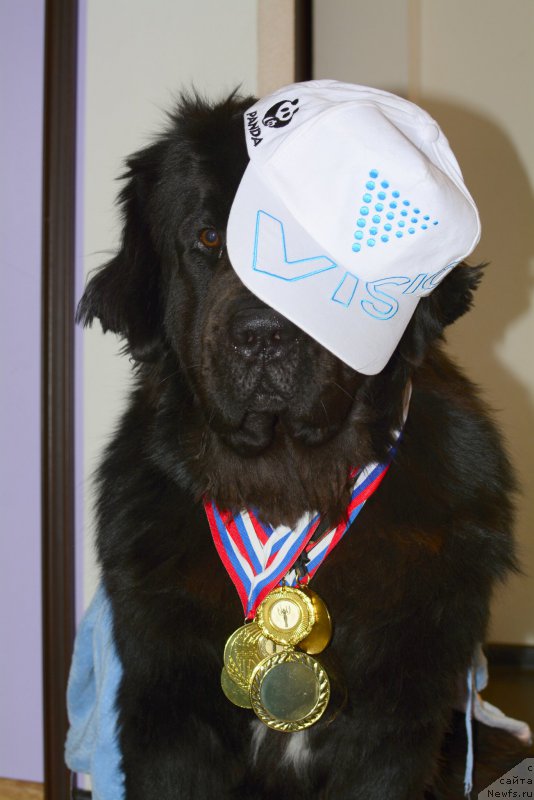 Фотография № 190813