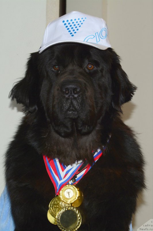 Фотография № 190814