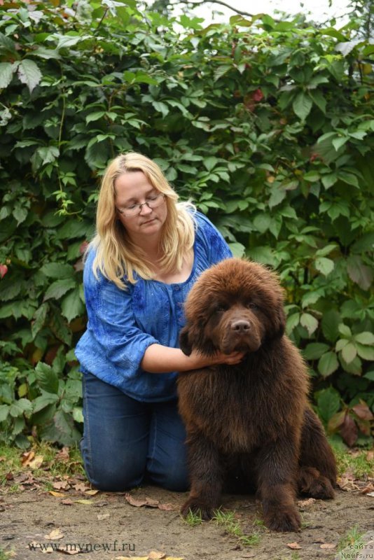 Фотография № 190816