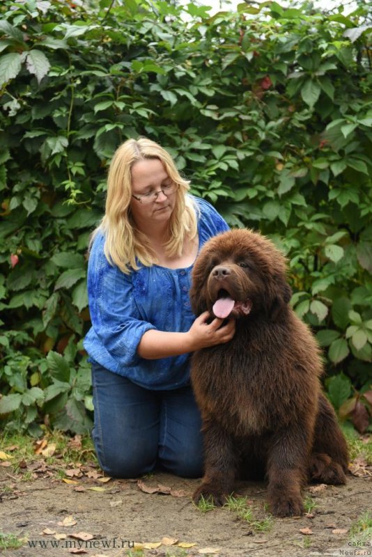 Фотография № 190817