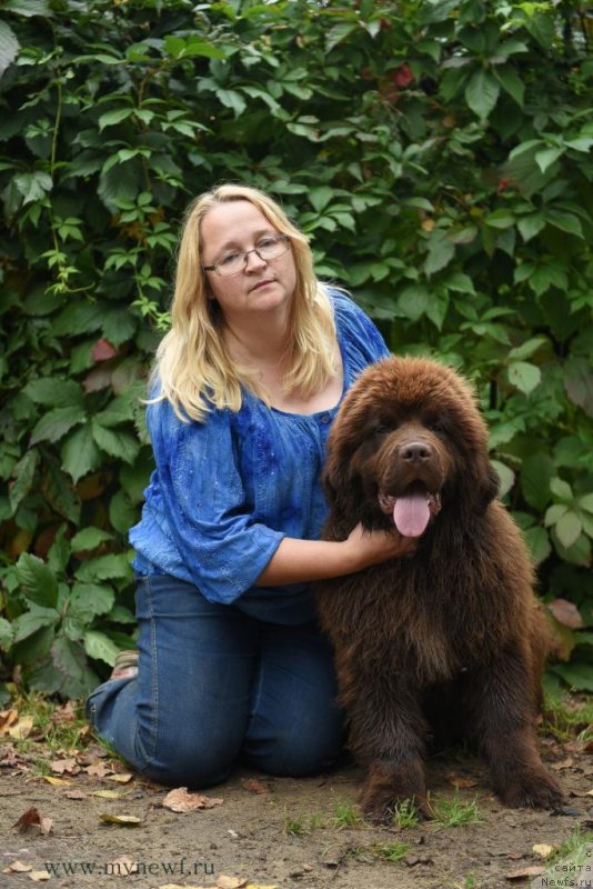 Фотография № 190818