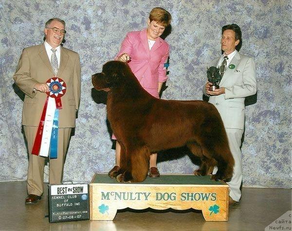 Фотография № 190819