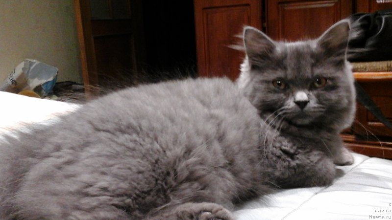 Фото: Моя маленькая красотка