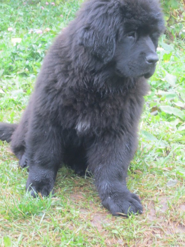 Фото: Natal'ya Smazchikova (Наталья Смазчикова)