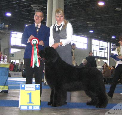 Фотография № 19085