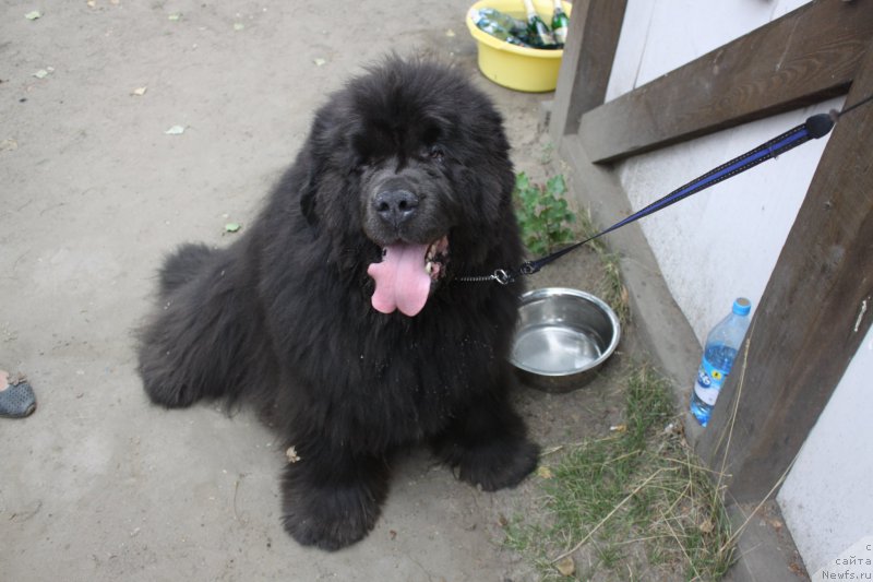 Фотография № 190940