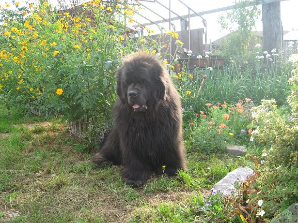 Фотография № 190941