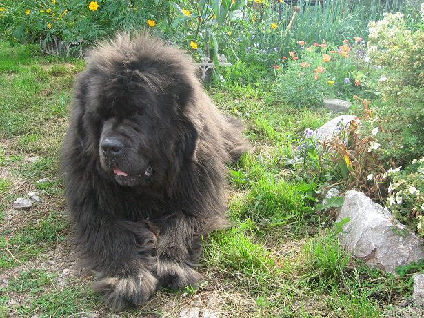 Фотография № 190942