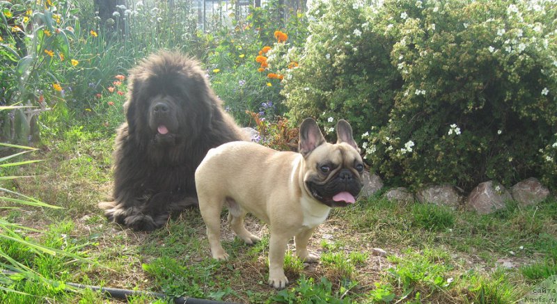 Фотография № 190943